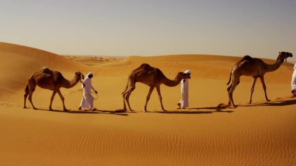 konvooi van kamelen op reis in de woestijn - Video