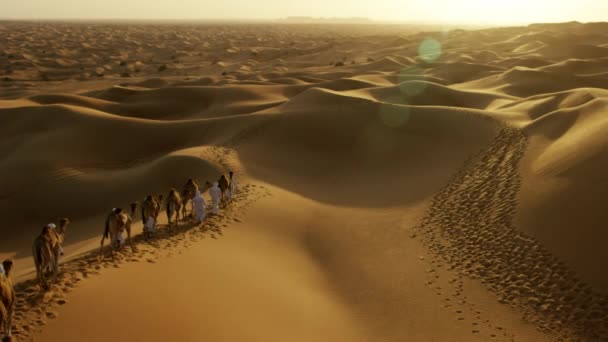Konvoi von Kamelen fährt durch Wüste - Filmmaterial, Video