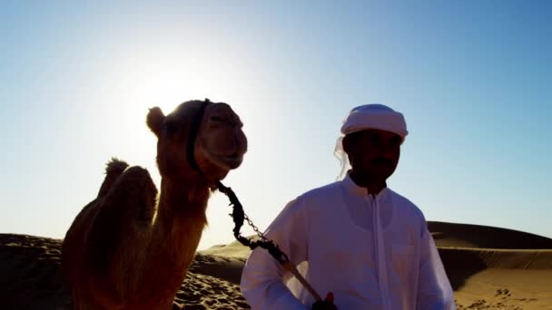 Convoglio di cammelli che attraversano il deserto
 - Filmati, video