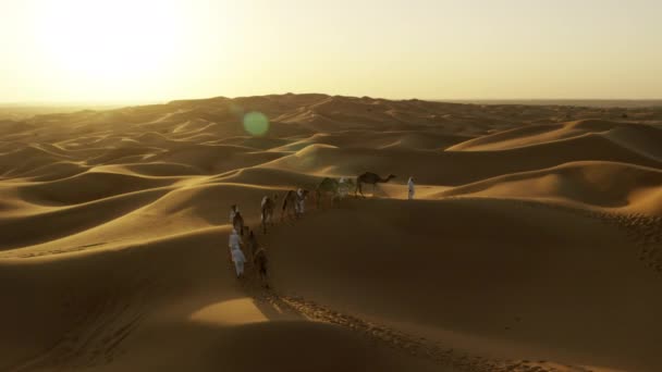 Emiraty mężczyźni prowadzi wielbłądów przez pustynię - Materiał filmowy, wideo