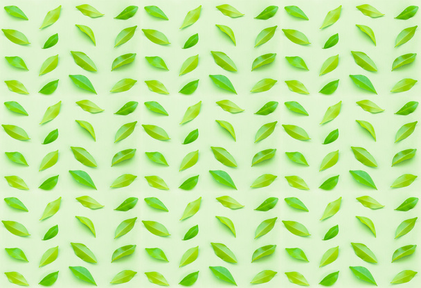 Blätter Muster. nahtlose Blätter Textur - Foto, Bild