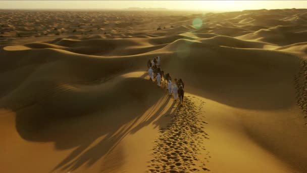 wielbłąd właścicieli w konwoju z pustynny - Materiał filmowy, wideo