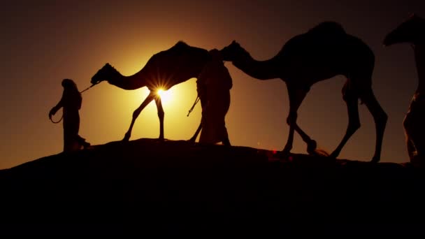 Camel asuntovaunu matkalla aavikon yli
 - Materiaali, video