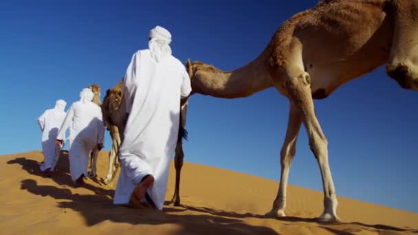 Convoy de camellos viajando por el desierto
 - Imágenes, Vídeo