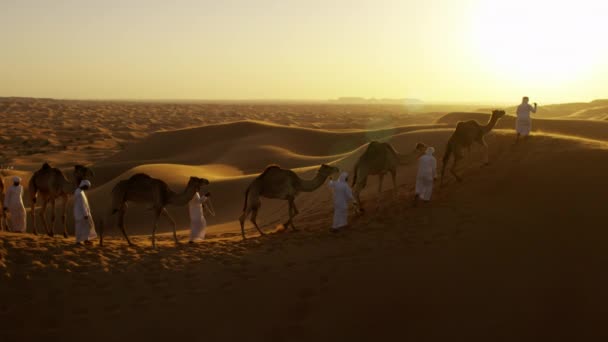 Hombres árabes guiando camellos por el desierto
 - Metraje, vídeo