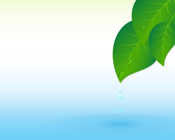 Water splash and leaves - Vector, Image