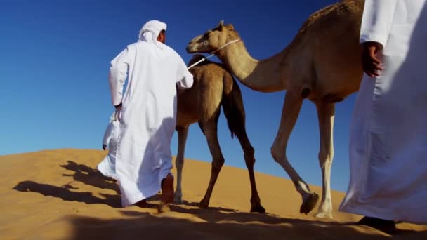 Camellos viajando por el desierto
  - Imágenes, Vídeo