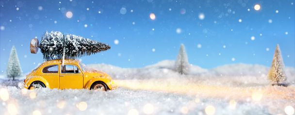 Auto kuljettaa joulukuusi luminen yö
 - Valokuva, kuva
