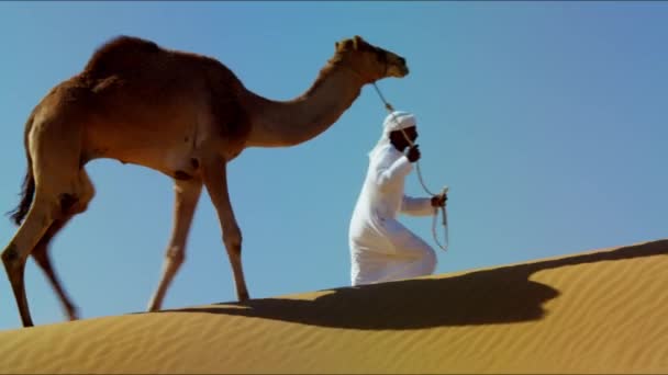 Konvooi van kameel op reis in de woestijn - Video
