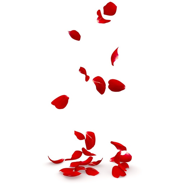 Rosenblätter fallen zu Boden - Foto, Bild