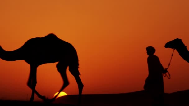 proprietários de camelos no comboio do deserto
 - Filmagem, Vídeo