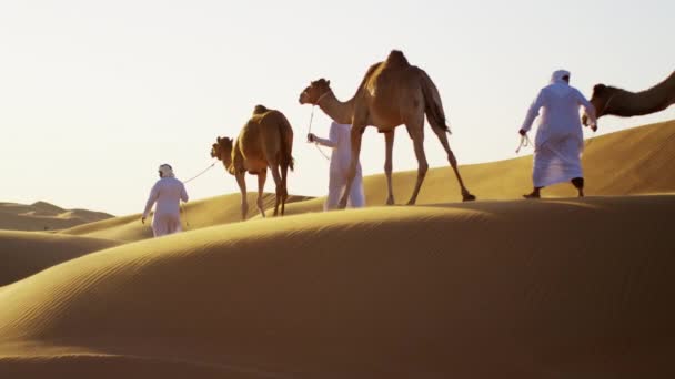 wielbłąd właścicieli w konwoju z pustynny - Materiał filmowy, wideo