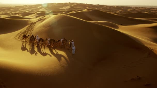 Konvoi von Kamelen fährt durch Wüste - Filmmaterial, Video