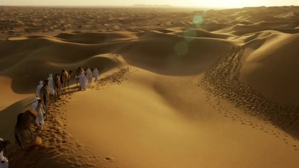ラクダは砂漠を横断ハンドラーによって導かれています。  - 映像、動画