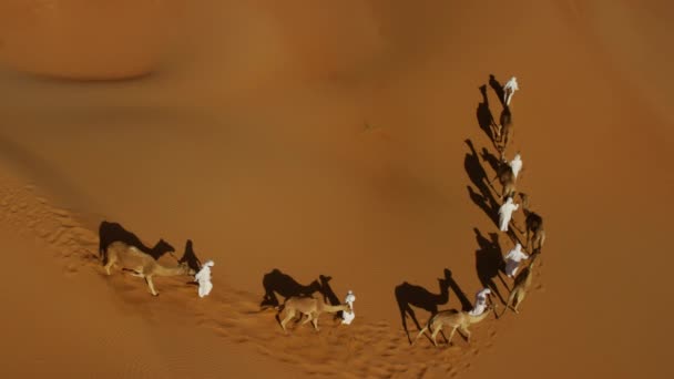 砂漠のコンボイでラクダの所有者 - 映像、動画