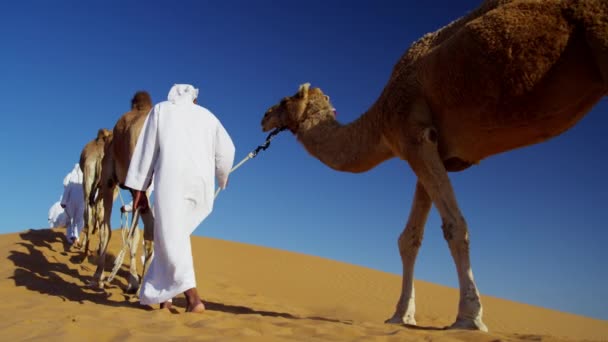 eigenaars van de kameel in woestijn konvooi - Video