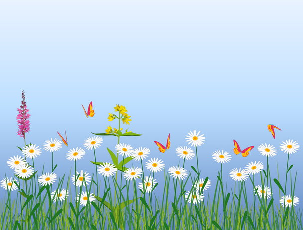 Flores de pradera
 - Vector, imagen