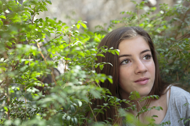 Обличчя дівчини серед гілок дерева
 - Фото, зображення