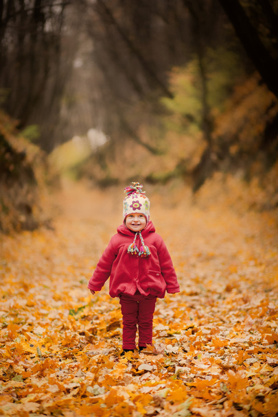 Κοριτσάκι σε κόκκινο παλτό στο γραφικό πτώση πάρκο - Φωτογραφία, εικόνα