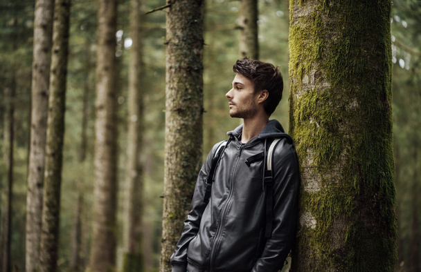 Young man exploring a forest - 写真・画像