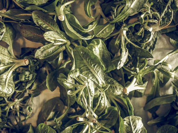 Laitue décolorée vintage (Lactuca sativa) légumes en feuilles nourriture végétarienne utile comme fond
 - Photo, image