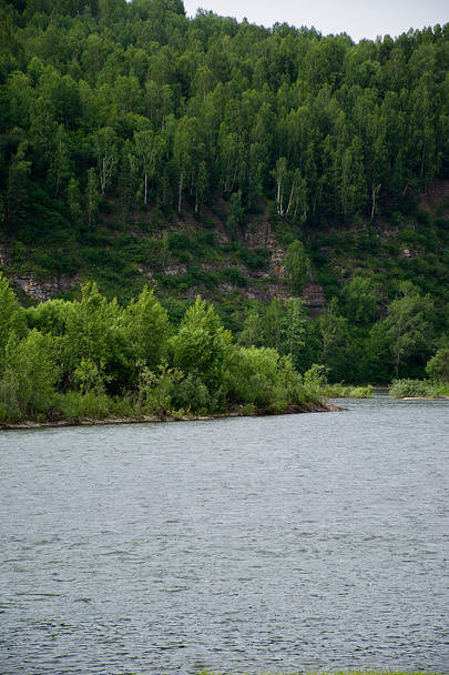 river and a mountain with trees - Photo, Image