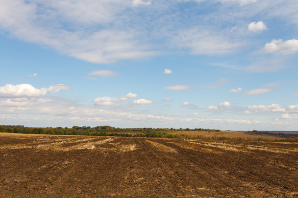 Cultivated field under blue sky - Foto, Imagen