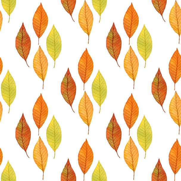 Autumn leaves background with sketchy seamless pattern. Autumnal nature theme design - Photo, Image