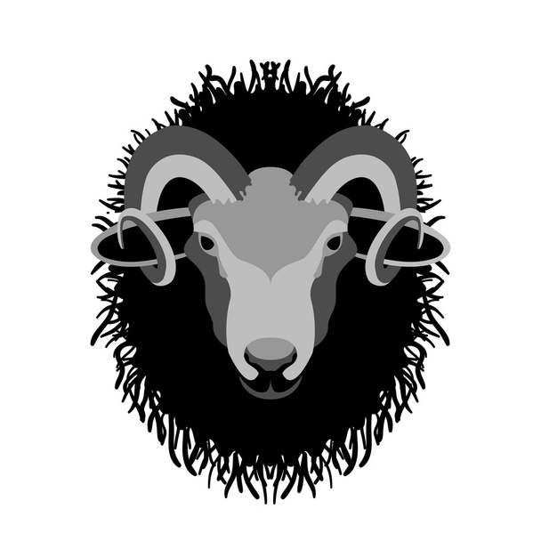 cabeza de carnero vector ilustración estilo plano
  - Vector, imagen