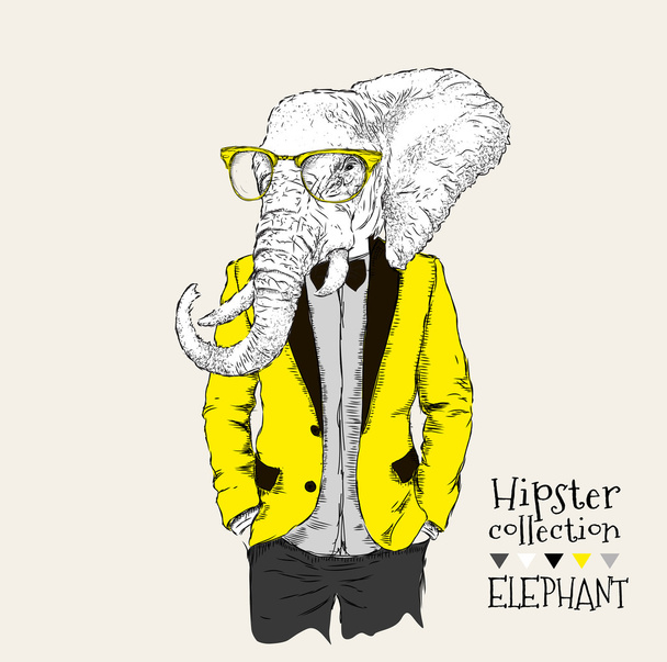 Illustration of elephant hipster dressed up in jacket, pants and sweater. Vector illustration - Vector, afbeelding