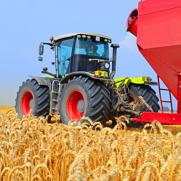 Traktor s nádrží pro přepravu obilí - Fotografie, Obrázek