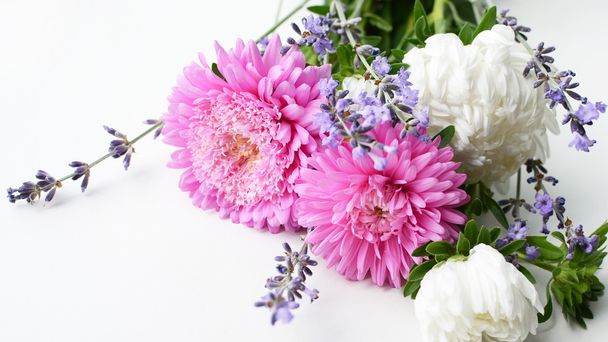 lavender and asters bouquet - 写真・画像