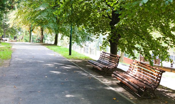Bench in old park - Фото, изображение