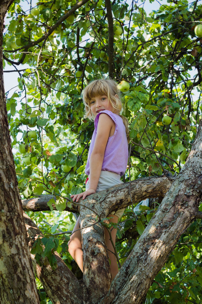 klein meisje klom in een boom - Foto, afbeelding