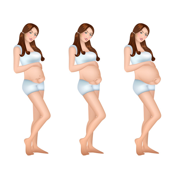 Těhotná žena v trimestru pokračovat 9 měsíců. Těhotenství infografika. - Vektor, obrázek