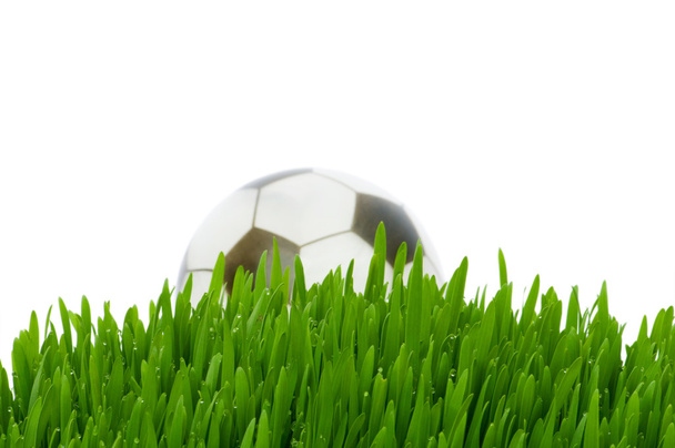 Concepto deportivo - fútbol en la hierba
 - Foto, Imagen