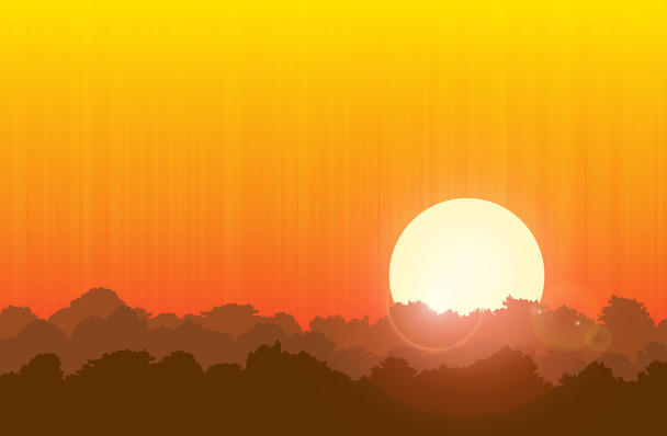 Forest Sunset - Vector, Image