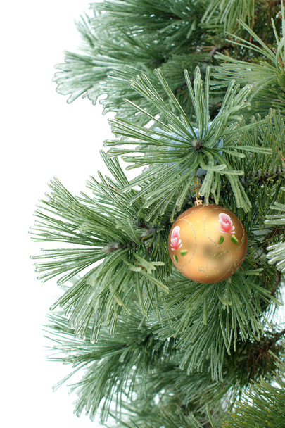 Gold christmas ball on the pine branch - Fotografie, Obrázek