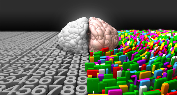 Ліва півкуля мозку & правої півкулі мозку - Фото, зображення