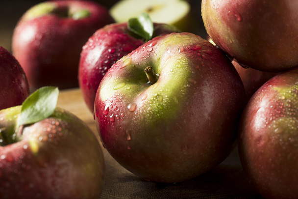 Raw Organic Red Mcintosh Apples - Fotó, kép