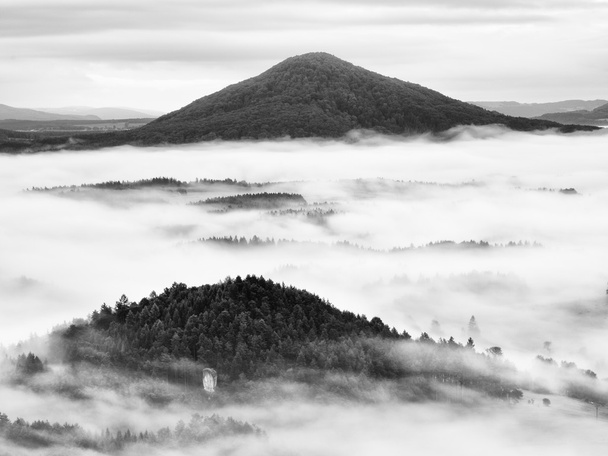 Heavy mist in landscape. Magnificent  autumn creamy fog - Photo, Image