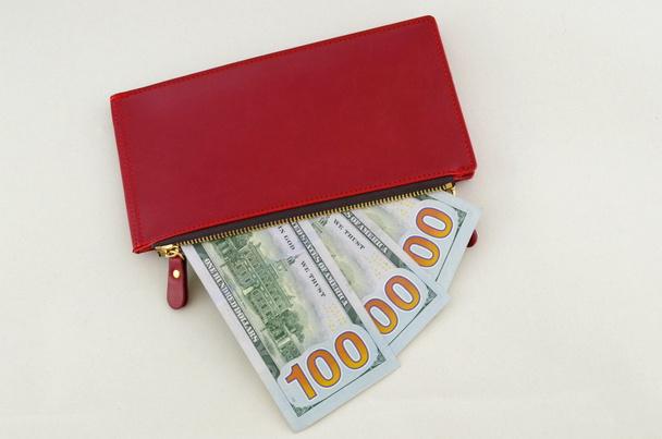Several dollar bills in a red woman's purse - Photo, Image