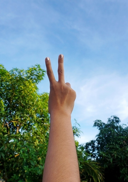 Одна рука робить знак миру на блакитне небо і дерево
 - Фото, зображення