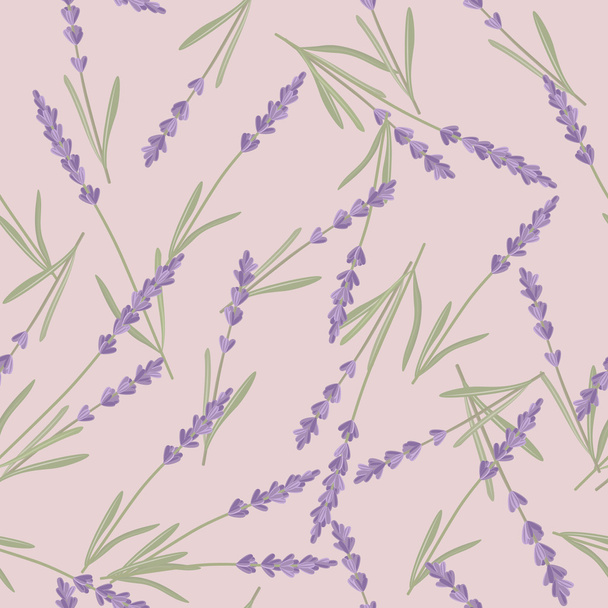 Seamless pattern with lavender flowers. - Вектор,изображение