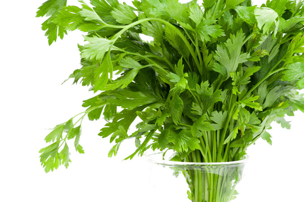 Parsley branches - Photo, Image
