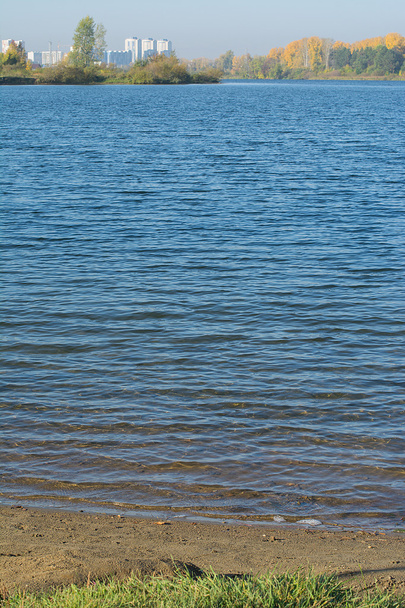 sandy grassy shore of the lake - Zdjęcie, obraz