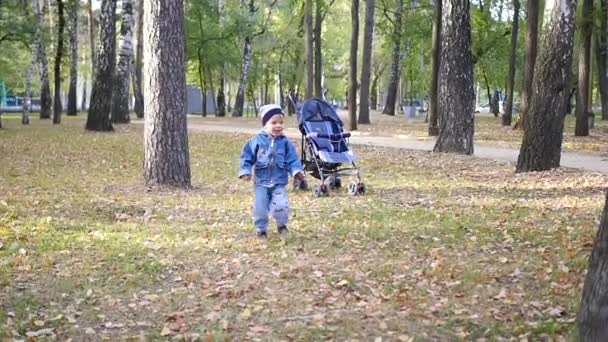 маленький ребенок играет в парке
 - Кадры, видео