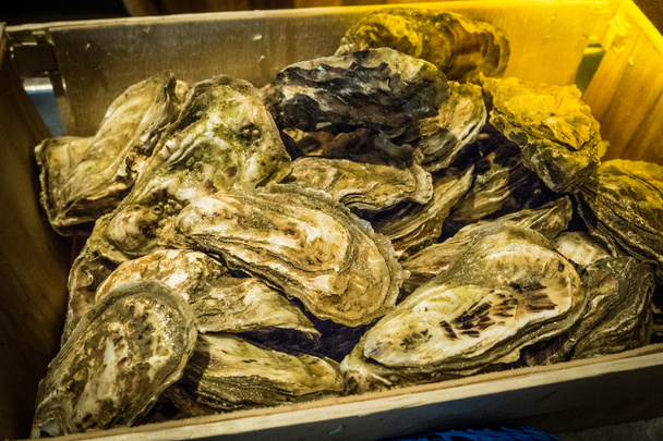 Verse oesters geserveerd  - Foto, afbeelding