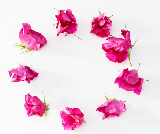 Coroa de rosas de chá rosa em branco
 - Foto, Imagem