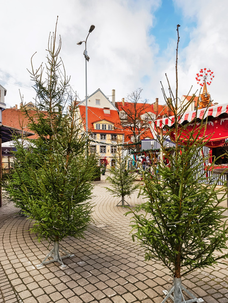 Praça Livu com árvores de Natal na cidade velha de Riga
 - Foto, Imagem